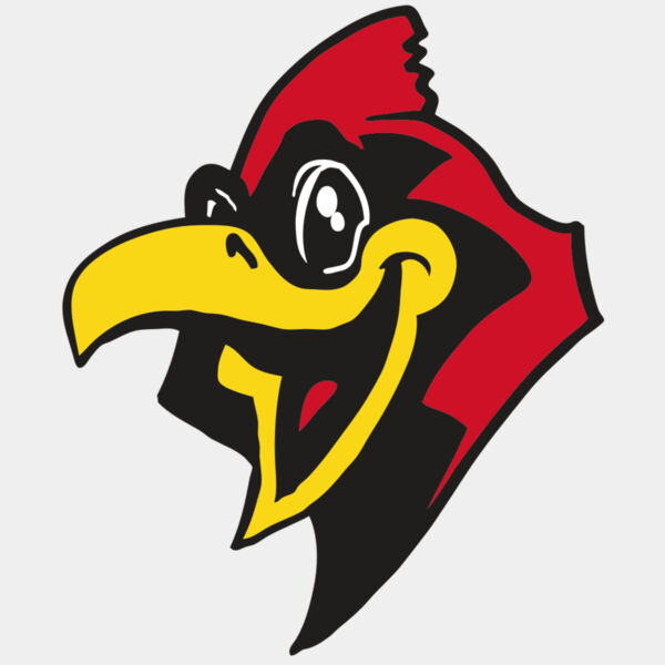 AR CARDINAL 36 RC Thumbnail