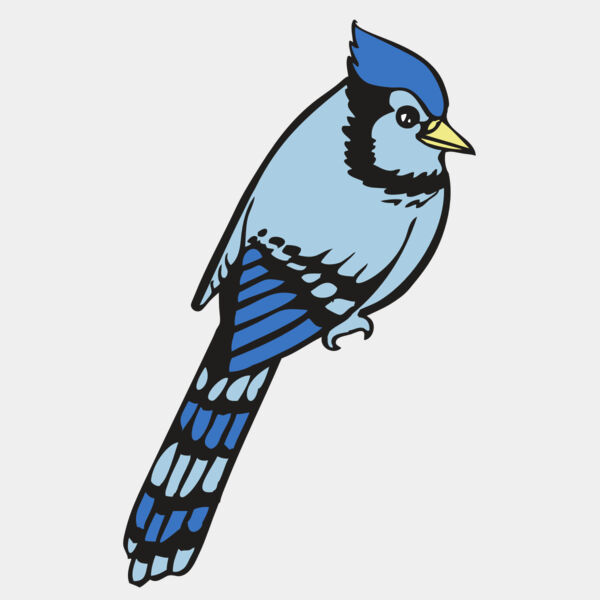 BAW BLUEJAY 08 RC Thumbnail