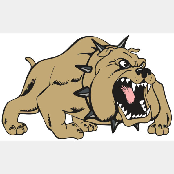 BAW BULLDOG 01 RC Thumbnail